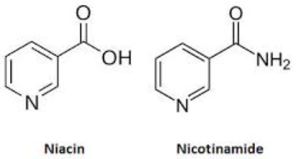 niacin and niacinamide